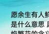 愿余生有人鲜衣怒马陪你看烈焰繁花是什么意思 愿有人鲜衣怒马陪你看烈焰繁花的含义