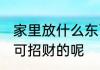 家里放什么东西能发财 家里摆放什么可招财的呢