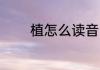 植怎么读音 植的拼音是什么