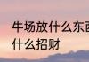 牛场放什么东西能发财 牛场适宜摆放什么招财