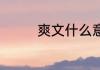 爽文什么意思 爽文啥意思