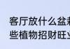客厅放什么盆栽旺财助事业 客厅放哪些植物招财旺业