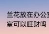 兰花放在办公室旺财吗 兰花放在办公室可以旺财吗