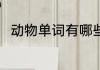 动物单词有哪些 动物单词简单介绍