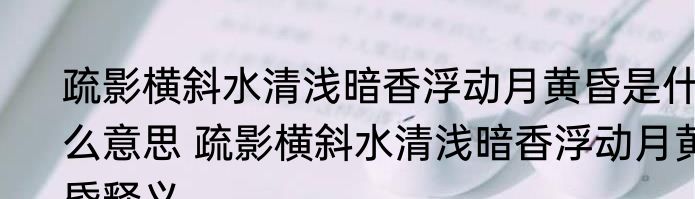 疏影横斜水清浅暗香浮动月黄昏是什么意思 疏影横斜水清浅暗香浮动月黄昏释义