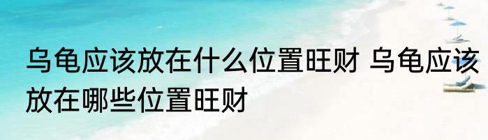 乌龟应该放在什么位置旺财 乌龟应该放在哪些位置旺财