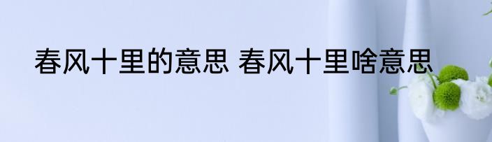 春风十里的意思 春风十里啥意思