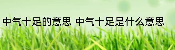 中气十足的意思 中气十足是什么意思