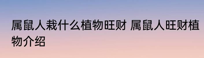 属鼠人栽什么植物旺财 属鼠人旺财植物介绍