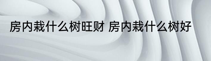 房内栽什么树旺财 房内栽什么树好