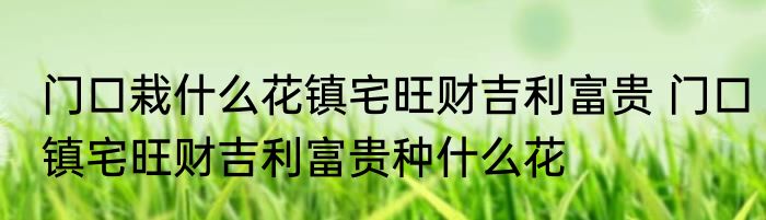 门口栽什么花镇宅旺财吉利富贵 门口镇宅旺财吉利富贵种什么花