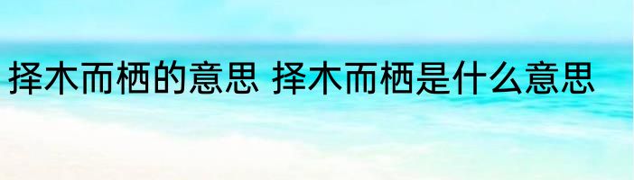 择木而栖的意思 择木而栖是什么意思