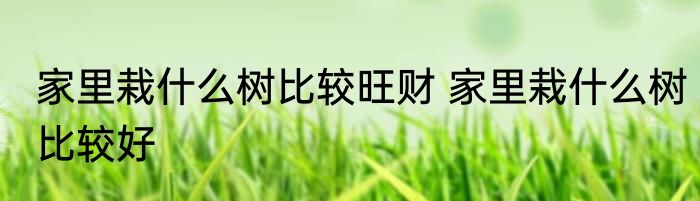 家里栽什么树比较旺财 家里栽什么树比较好