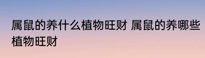 属鼠的养什么植物旺财 属鼠的养哪些植物旺财