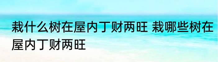栽什么树在屋内丁财两旺 栽哪些树在屋内丁财两旺