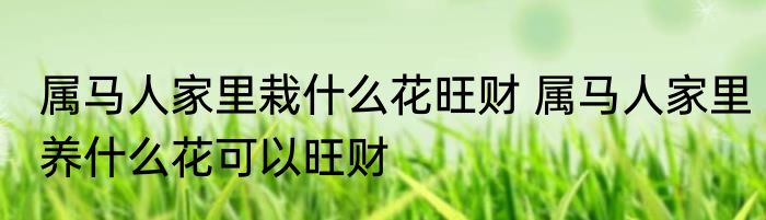属马人家里栽什么花旺财 属马人家里养什么花可以旺财
