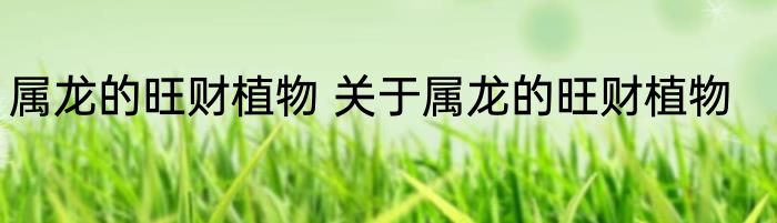 属龙的旺财植物 关于属龙的旺财植物