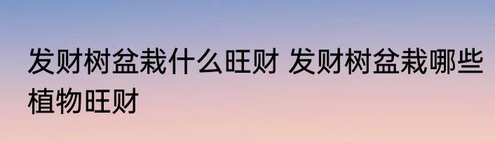 发财树盆栽什么旺财 发财树盆栽哪些植物旺财