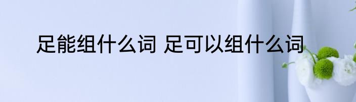 足能组什么词 足可以组什么词