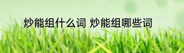 炒能组什么词 炒能组哪些词