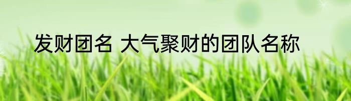 发财团名 大气聚财的团队名称