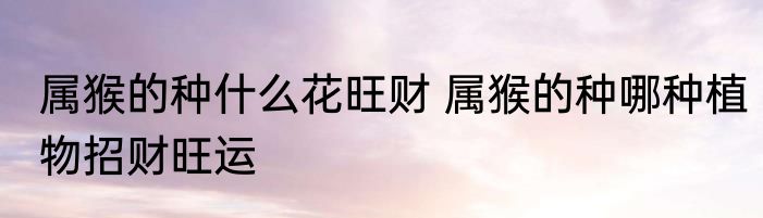 属猴的种什么花旺财 属猴的种哪种植物招财旺运