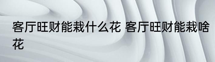 客厅旺财能栽什么花 客厅旺财能栽啥花