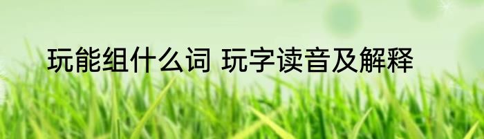 玩能组什么词 玩字读音及解释