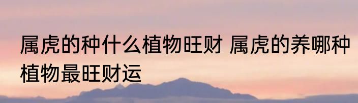 属虎的种什么植物旺财 属虎的养哪种植物最旺财运