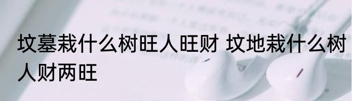 坟墓栽什么树旺人旺财 坟地栽什么树人财两旺