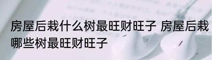 房屋后栽什么树最旺财旺子 房屋后栽哪些树最旺财旺子