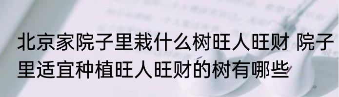 北京家院子里栽什么树旺人旺财 院子里适宜种植旺人旺财的树有哪些