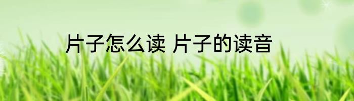 片子怎么读 片子的读音