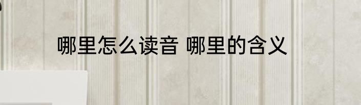 哪里怎么读音 哪里的含义