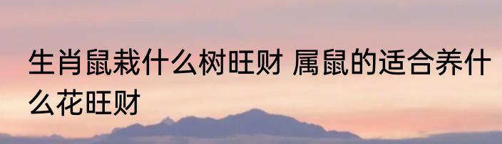 生肖鼠栽什么树旺财 属鼠的适合养什么花旺财