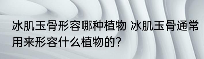冰肌玉骨形容哪种植物 冰肌玉骨通常用来形容什么植物的？