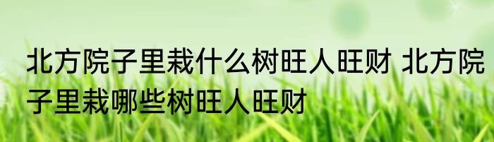 北方院子里栽什么树旺人旺财 北方院子里栽哪些树旺人旺财