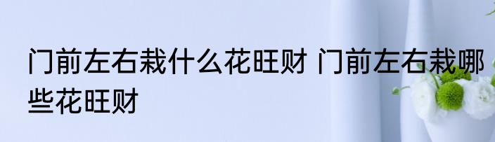 门前左右栽什么花旺财 门前左右栽哪些花旺财
