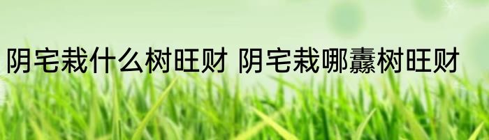 阴宅栽什么树旺财 阴宅栽哪纛树旺财