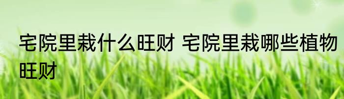 宅院里栽什么旺财 宅院里栽哪些植物旺财