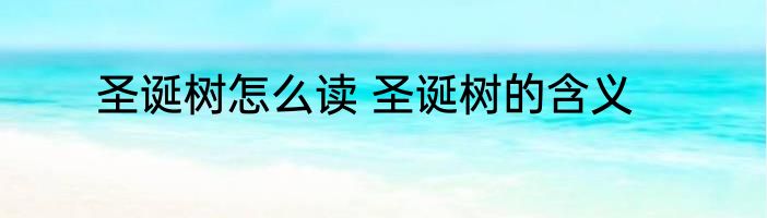 圣诞树怎么读 圣诞树的含义