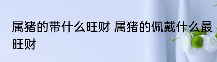 属猪的带什么旺财 属猪的佩戴什么最旺财