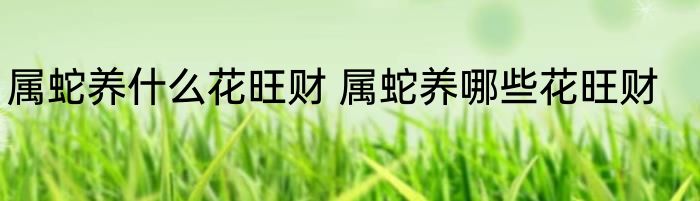 属蛇养什么花旺财 属蛇养哪些花旺财