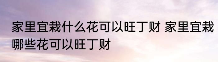 家里宜栽什么花可以旺丁财 家里宜栽哪些花可以旺丁财