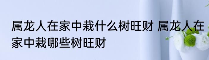 属龙人在家中栽什么树旺财 属龙人在家中栽哪些树旺财