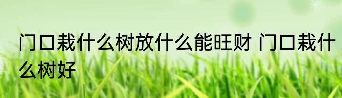 门口栽什么树放什么能旺财 门口栽什么树好