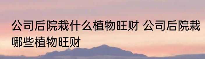 公司后院栽什么植物旺财 公司后院栽哪些植物旺财