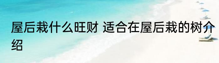 屋后栽什么旺财 适合在屋后栽的树介绍