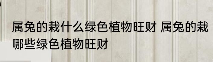 属兔的栽什么绿色植物旺财 属兔的栽哪些绿色植物旺财