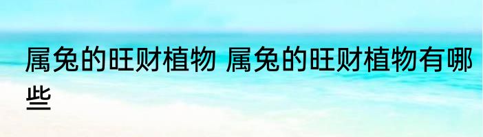 属兔的旺财植物 属兔的旺财植物有哪些